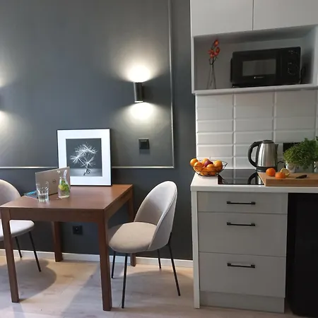Apartament Przytulne Przy Atlas Arena I Malowniczym Parku Łódź